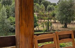 Quinta dos Mascarenhas Nature House - Foto 44