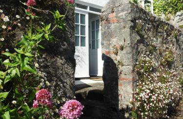 Camellia Corner - Photo 15