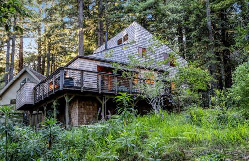 Redwood Retreat - Photo 5