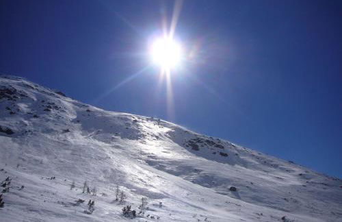 Trollenhof im Allgäu - Ferienwohnungen Säuling - Foto 35