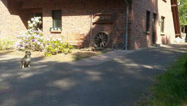 Garten Eden - Foto 4