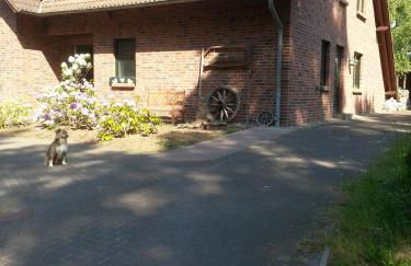 Garten Eden - Foto 4