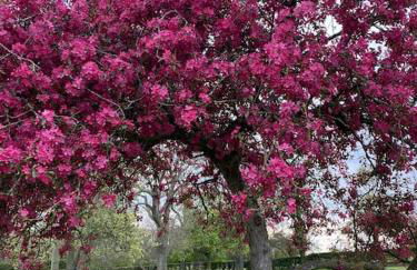 South Cottage - Garden, Views, Parking, Dogs, Cheshire, Walks, Family - Foto 17