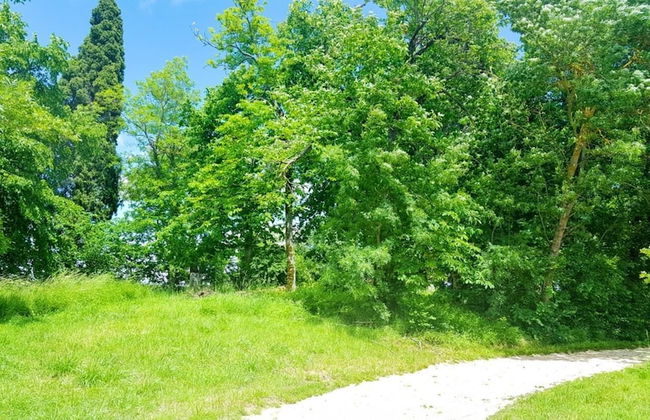 La Tricherie - Foto 40