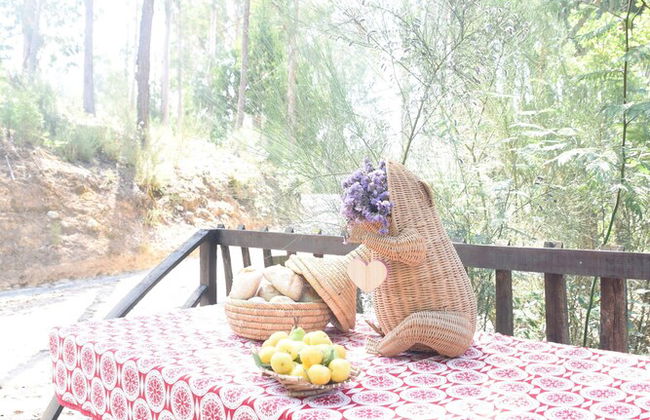 Vumba - The Alembic - Foto 17