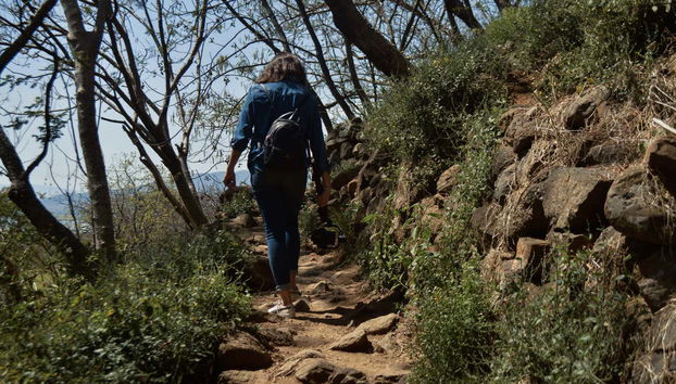 Walking through the Guachimontones archaeological site