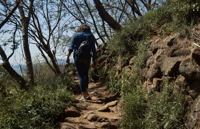 Tour of Guachimontones - Photo 3