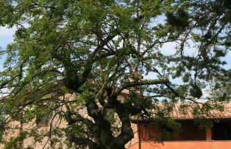 La Tenuta Dei Ricordi - Foto 19