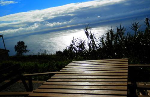 Au petit Madère - Foto 58