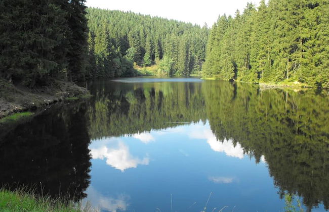 Apartment in Wildemann Near Hahnenklee Ski Area - Foto 33