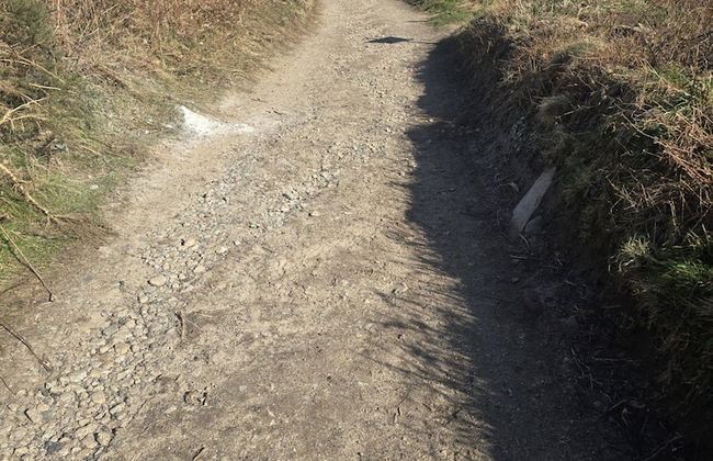 Kitts Cottage in Redruth - Foto 24