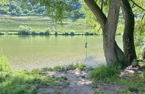 Lieblingsplatz Koblenz - Foto 26