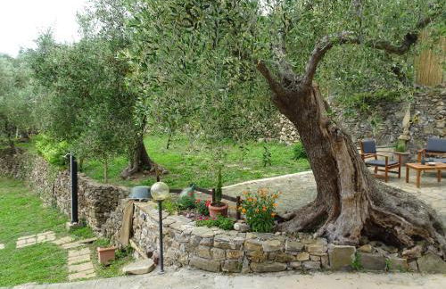 Le casasse - Foto 40