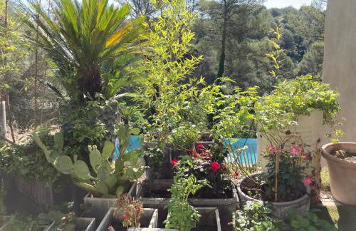 Maison ensoleillée au milieu des pins entre Marseille et Cassis - Foto 7