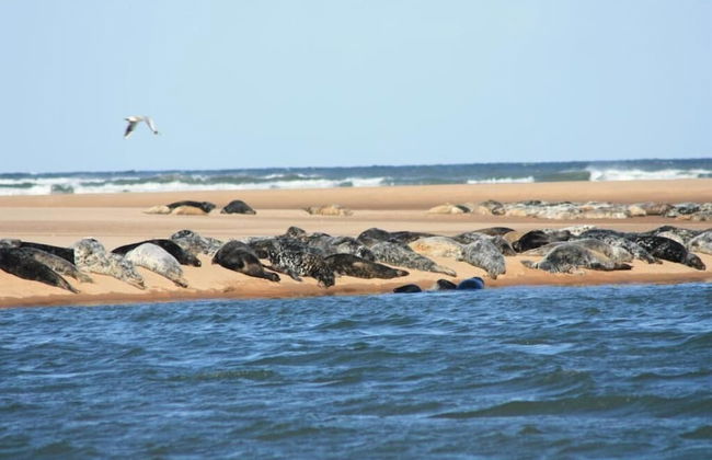 Beautiful House in Village, Newburgh, Ellon - Photo 18