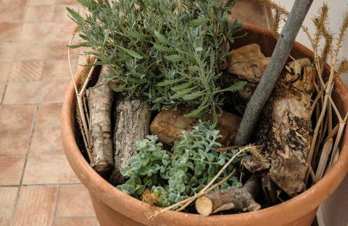 Artemis Sunrise - Foto 58