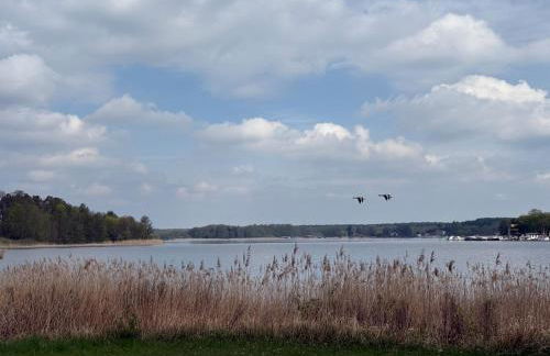 Ruhige, idyllische Ferienwohnung mit Naturausblick - Foto 22