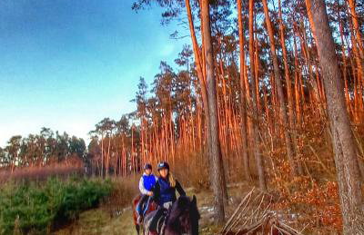 Toskania Kociewska - Photo 58