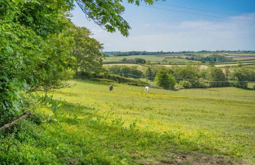 1 Bed in Aberaeron oc-bow300 - Foto 29