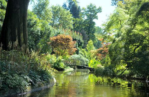 Castello di Gaia - Foto 24