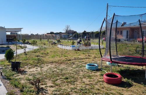 Agroktima Arta - Farm Stay - Foto 41