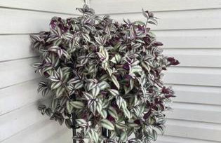 Magical house with beautiful designs, near beach - Photo 67