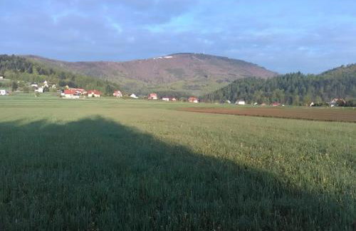 Domek Panorama - Foto 54