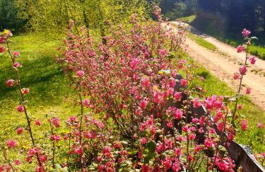Siedlisko pod Aniołem - Foto 16