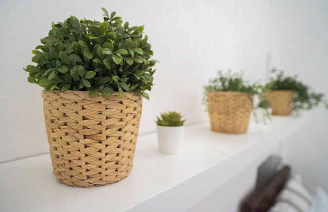 Trullo Pinto - Foto 34