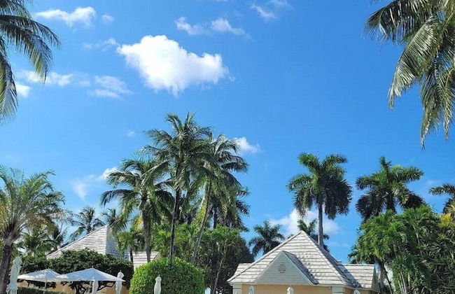 Studio at The Ritz-Carlton Key Biscayne - Photo 9