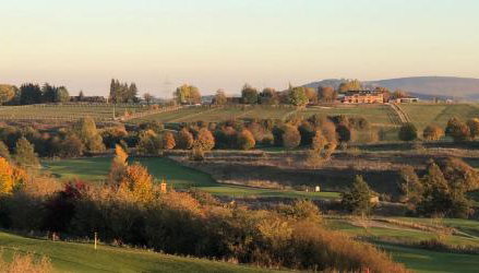 Ferienhäuser Immenhöfe - Foto 3