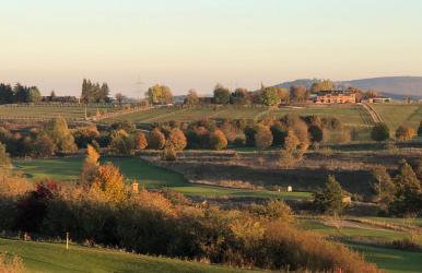 Ferienhäuser Immenhöfe - Foto 3