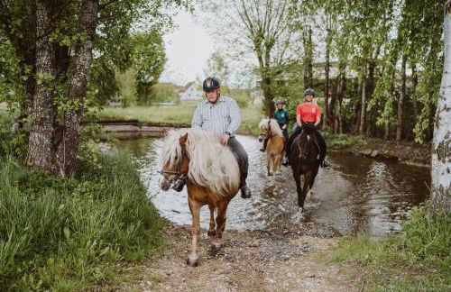 Hotel Reiterhof-Altmühlsee - Foto 32