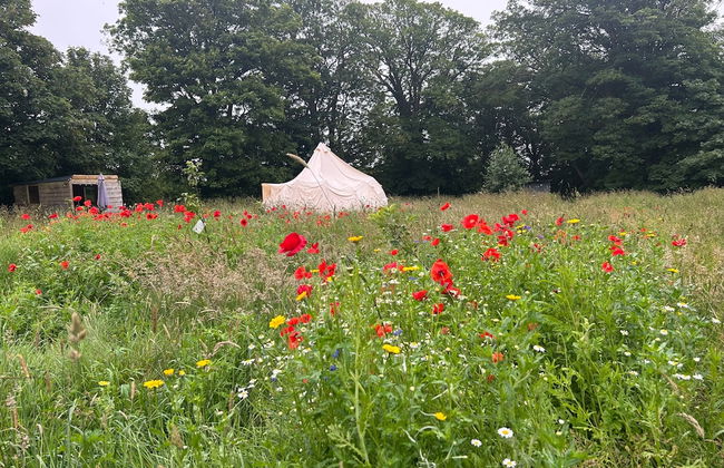Beautiful Bell Tent Stay - Foto 35