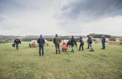 Garnecker Galloways - Foto 11