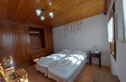 The garden holiday apartment - Photo 8