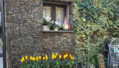La Casetta dei Fiori sull Etna - Foto 3