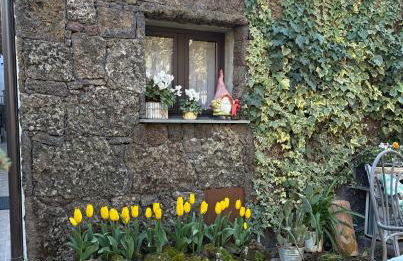 La Casetta dei Fiori sull Etna - Foto 3