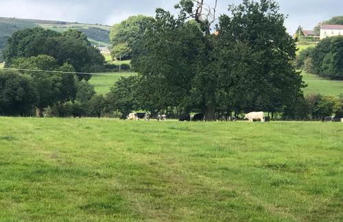 Escape To The Country @ Bron Offa Bach - Foto 35