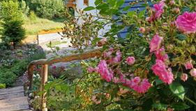 Dom pod kogutem - Foto 4