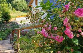 Dom pod kogutem - Foto 4