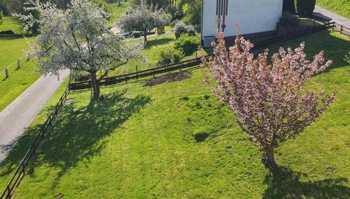 LandLeben - Photo 2, Garden, Garden view