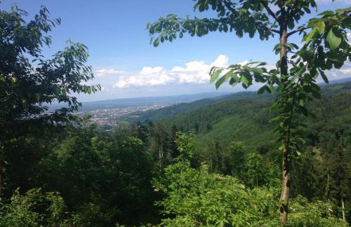 Familien-Appartement Schwarzwald bei Freiburg mit bis zu 4 Schlafzimmern - Foto 73