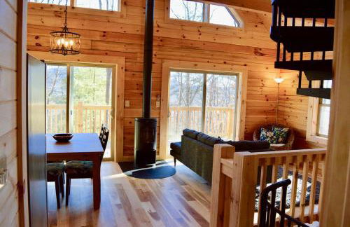 Luxury Log Cabin with Mountain and Forest Views near Asheville, North Carolina - Foto 7