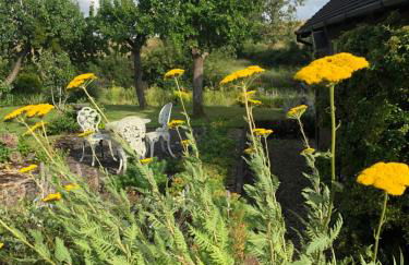 Myrtleberry Studio BnB - Foto 26