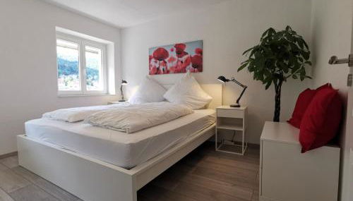 Ferienwohnungen Flussufer - Neckargemünd Altstadt - Foto 2