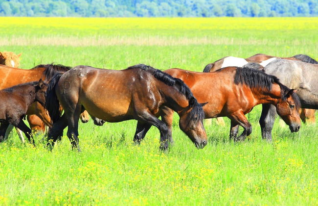Riverside House With Hot Tub - Photo 31