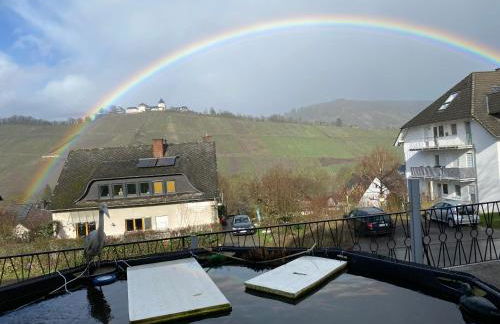 Ferienwohnung Rockenbach - Foto 48
