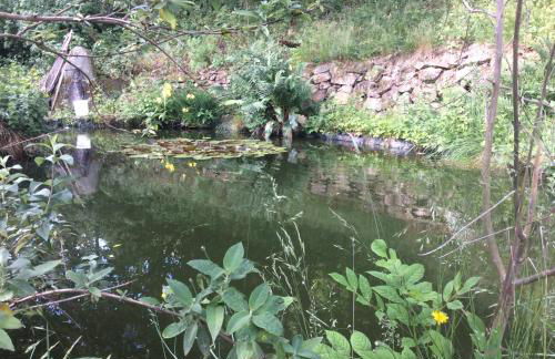 Haus Dreil - Photo 12