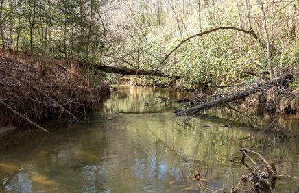 6 Acre Summit - Foto 60